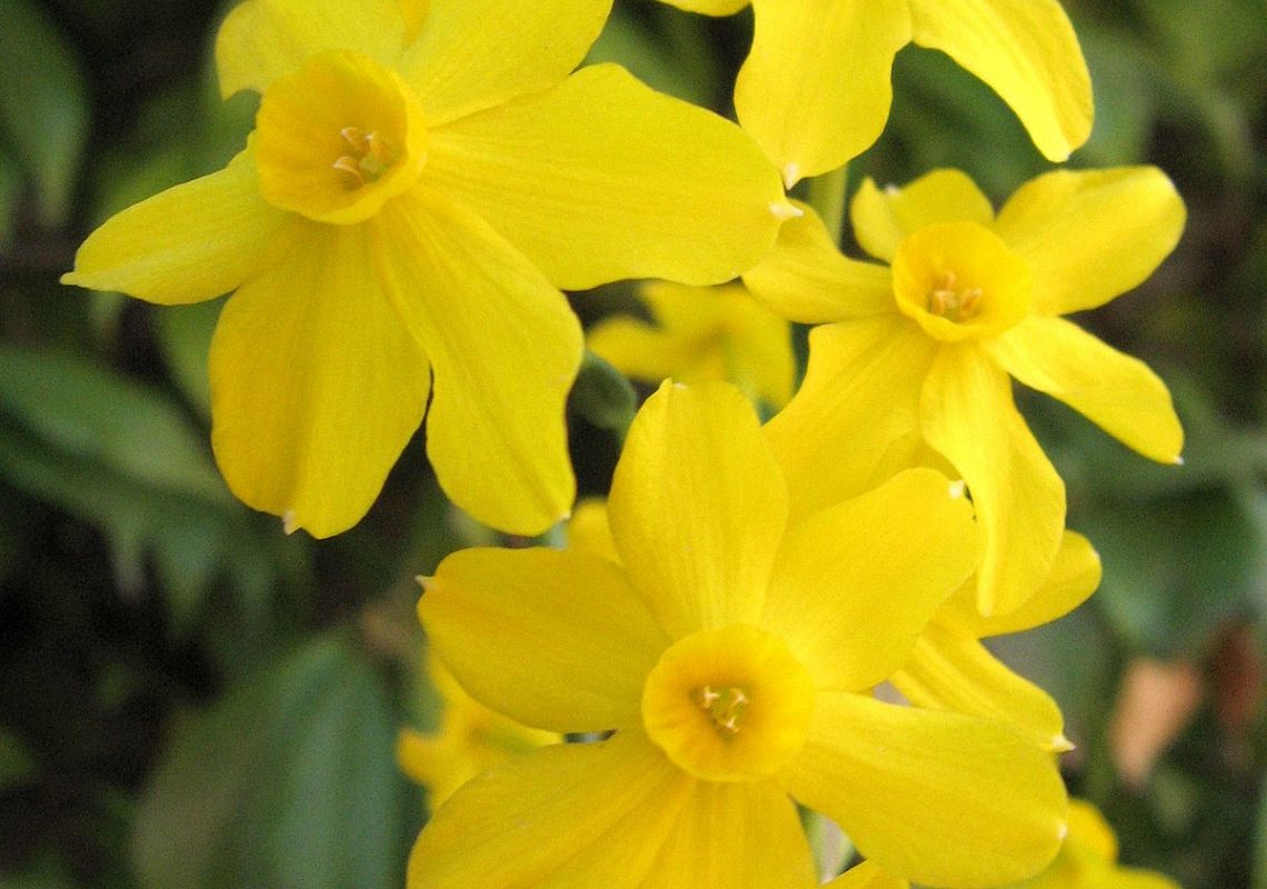 Wspieramy Lęborskie Hospicjum Stacjonarne