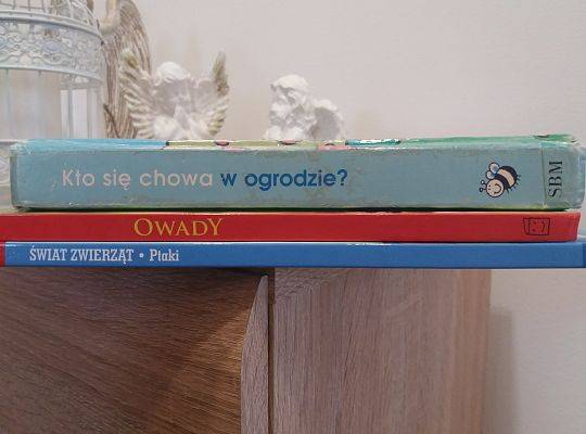 "Co kryją grzbiety książek ?" Kreatywne układanki