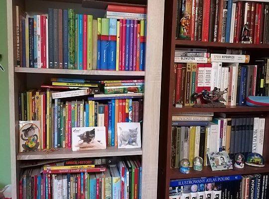 Bibliote(cz)ka Magdy