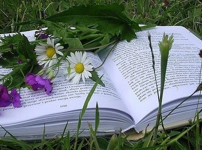 Pokaż co czytasz - majówka z książką