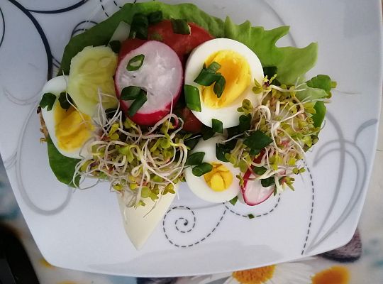 Z serem, jajeczkiem, rzodkiewką, pomidorkiem, kiełkami, sałatą na wieloziarnistej bułce, posypane wszystko szczypiorkiem