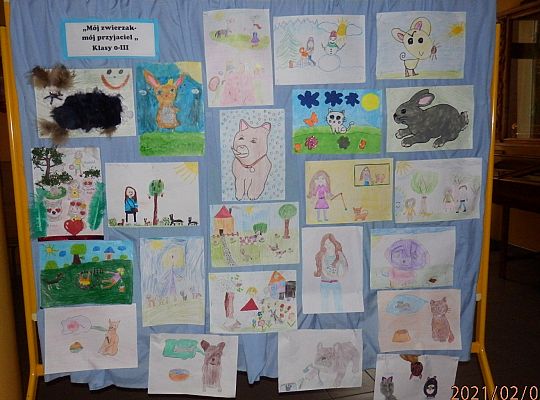 Wojewódzkie zimowe konkursy