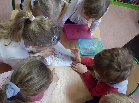 Od pisarza do biblioteki