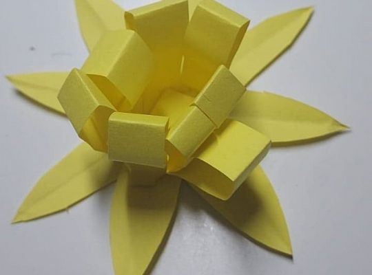 Akcja Żonkile 2021. Łączy nas pamięć !