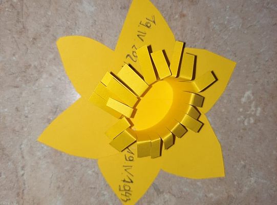 Akcja Żonkile 2021. Łączy nas pamięć !