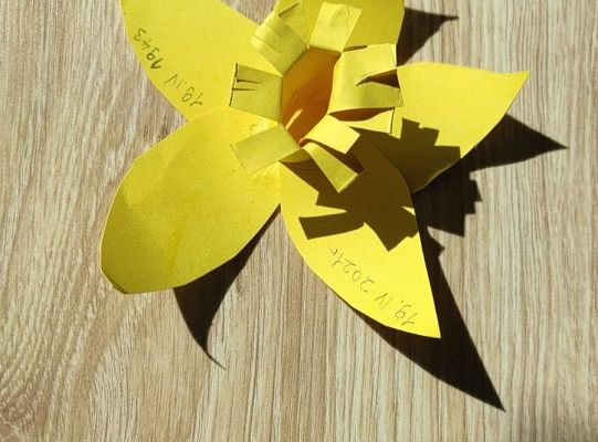 Akcja Żonkile 2021. Łączy nas pamięć !