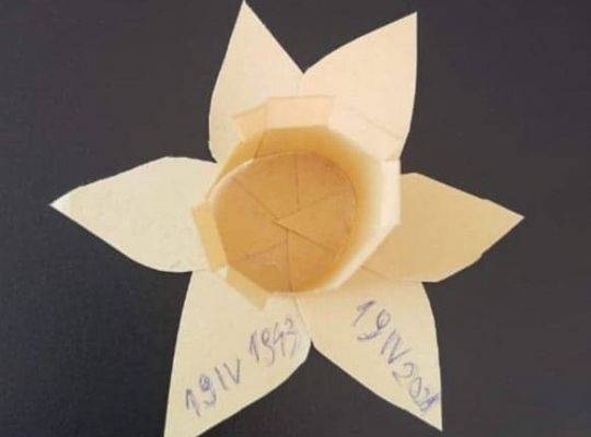 Akcja Żonkile 2021. Łączy nas pamięć !