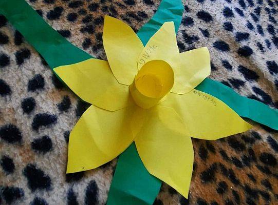 Akcja Żonkile 2021. Łączy nas pamięć !