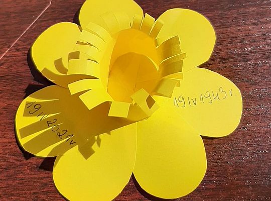 Akcja Żonkile 2021. Łączy nas pamięć !