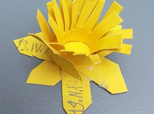 Akcja Żonkile 2021. Łączy nas pamięć!