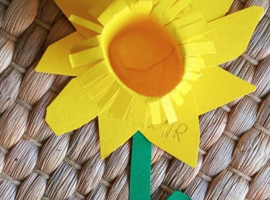 Akcja Żonkile 2021. Łączy nas pamięć!