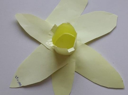 Akcja Żonkile 2021. Łączy nas pamięć!