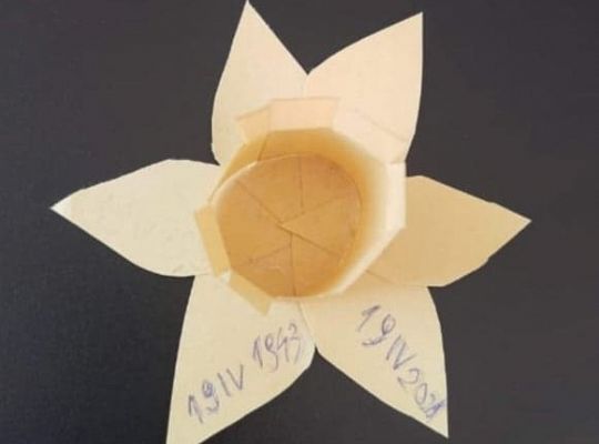 Akcja Żonkile 2021. Łączy nas pamięć!