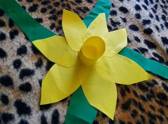 Akcja Żonkile 2021. Łączy nas pamięć!