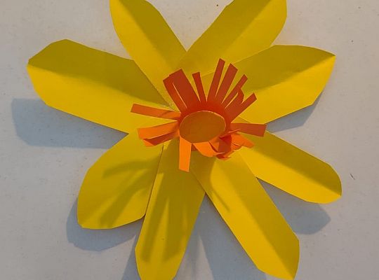 Akcja Żonkile 2021. Łączy nas pamięć!