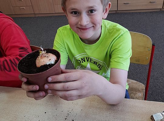 Lekturki spod chmurki ....finał projektu