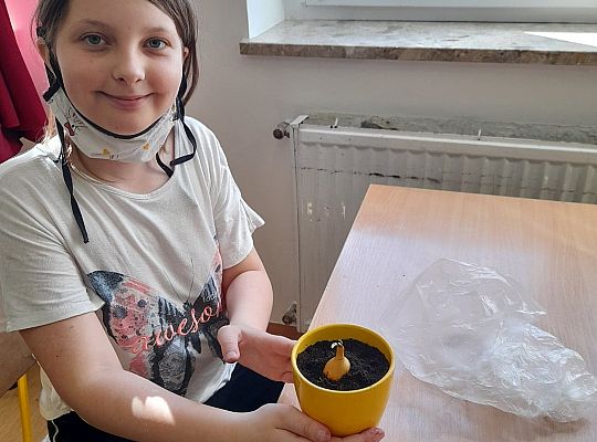 Lekturki spod chmurki ....finał projektu