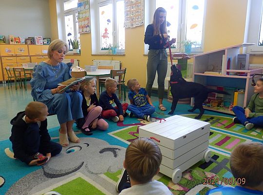 Dżok i Baja. Jesienne spotkania z „Biblioteką Przedszkolaka”