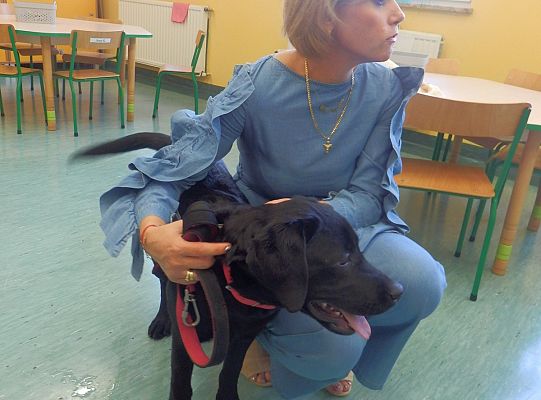 Dżok i Baja. Jesienne spotkania z „Biblioteką Przedszkolaka”