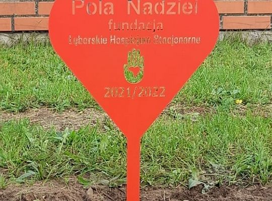 Pole nadziei