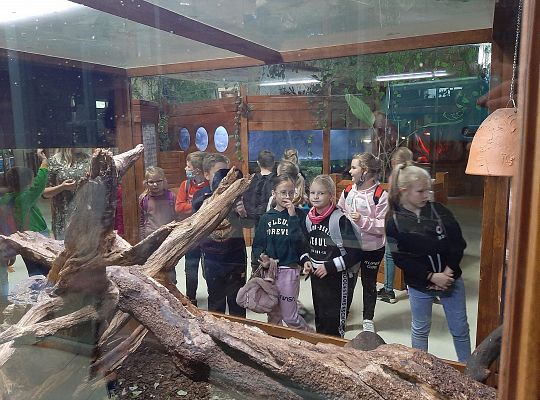 Edukacyjne Zoo-Egzotyczne