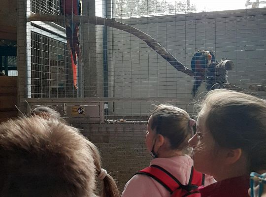 Edukacyjne Zoo-Egzotyczne