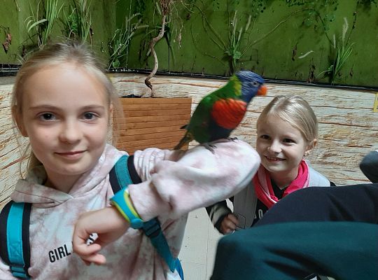 Edukacyjne Zoo-Egzotyczne