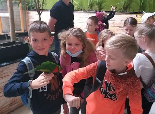 Edukacyjne Zoo-Egzotyczne