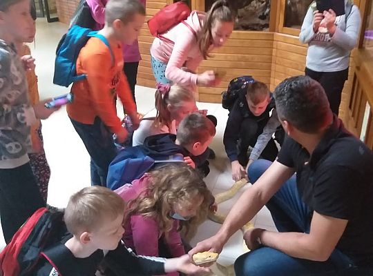 Edukacyjne Zoo-Egzotyczne