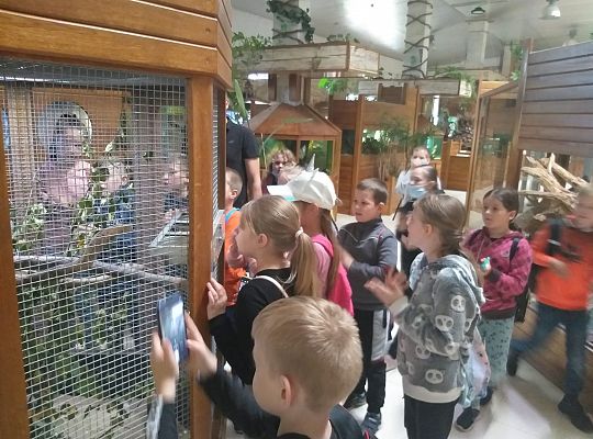 Edukacyjne Zoo-Egzotyczne