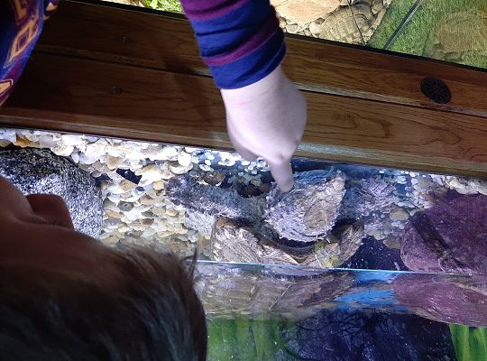 Edukacyjne Zoo-Egzotyczne