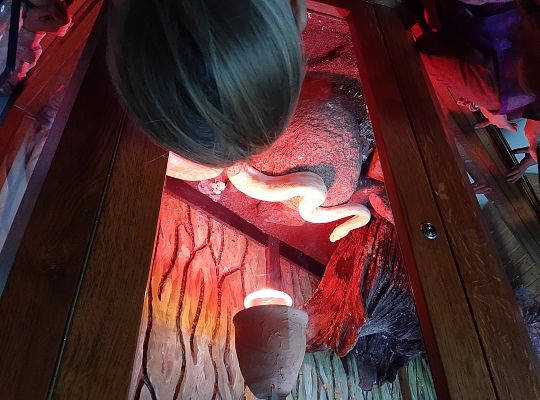 Edukacyjne Zoo-Egzotyczne