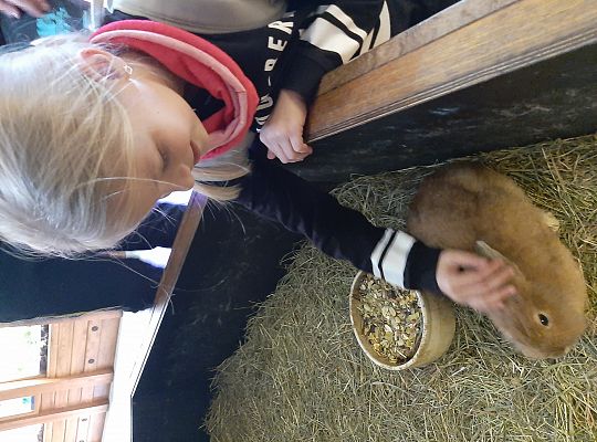 Edukacyjne Zoo-Egzotyczne