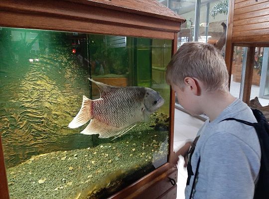 Edukacyjne Zoo-Egzotyczne