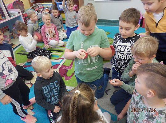"Biblioteka Przedszkolaka", Pan Maluśkiewicz i wieloryb