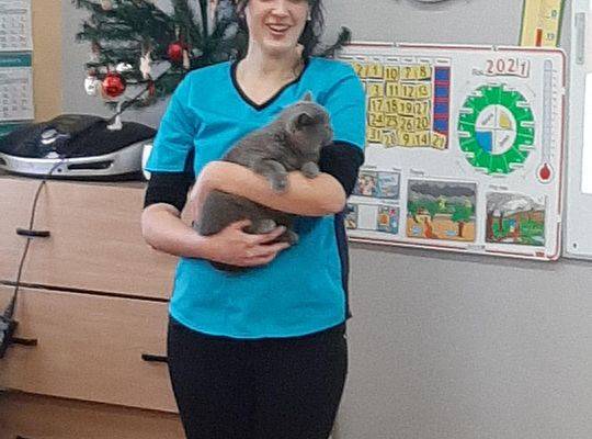 Spotkanie z weterynarzem