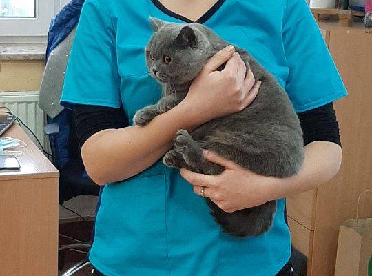 Spotkanie z weterynarzem