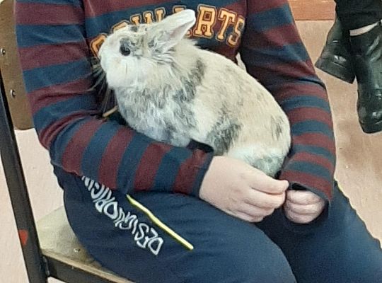 Spotkanie z weterynarzem