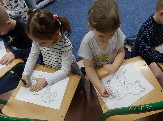 „Czy zebra jest biała w czarne paski, czy może czarna w białe paski?”