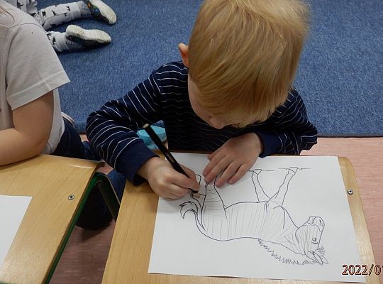 „Czy zebra jest biała w czarne paski, czy może czarna w białe paski?”