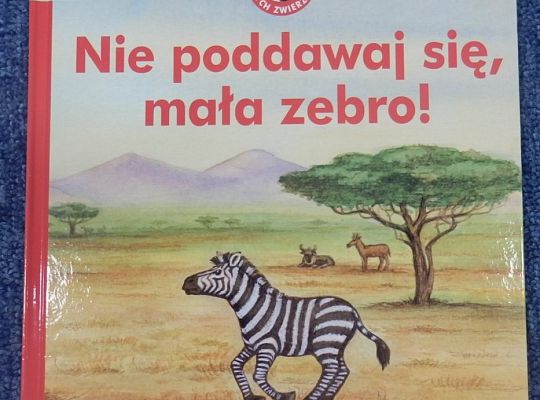 „Czy zebra jest biała w czarne paski, czy może czarna w białe paski?”