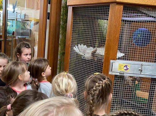 Wycieczka do Tucholina