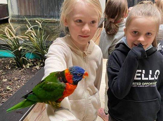 Wycieczka do Tucholina