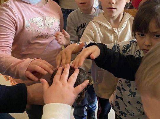 Wycieczka do Tucholina