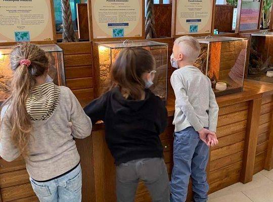 Wycieczka do Tucholina