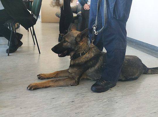 Policjant i jego pies