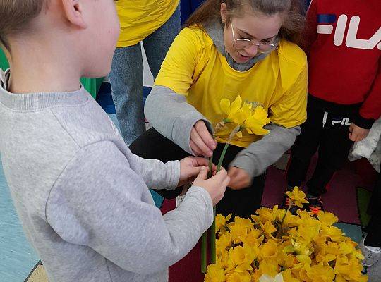 Pola nadziei - efekty