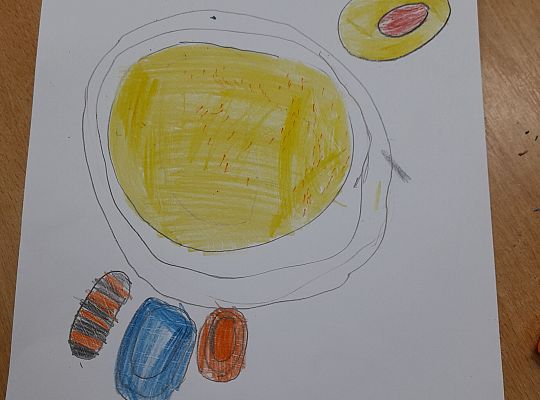 Książko - przedstaw się! Odczarowujemy czytanie!