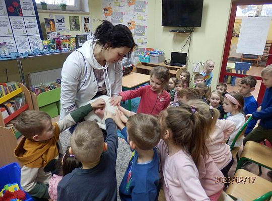 Światowy Dzień Kota