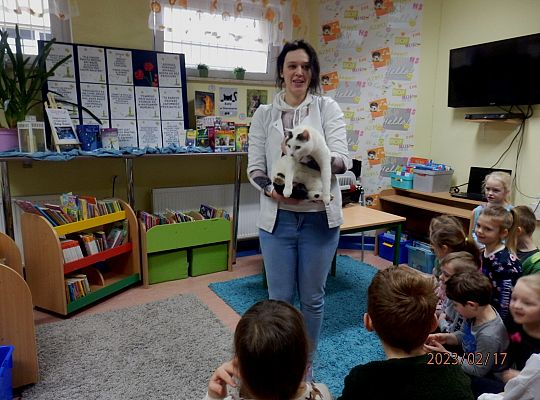 Światowy Dzień Kota